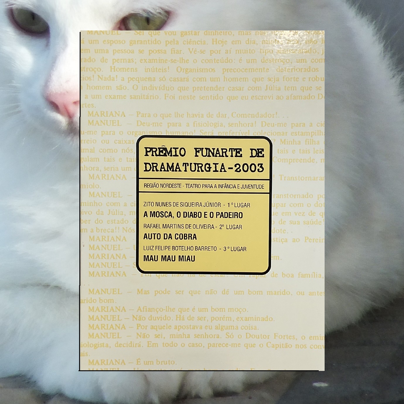 Mau mau miau